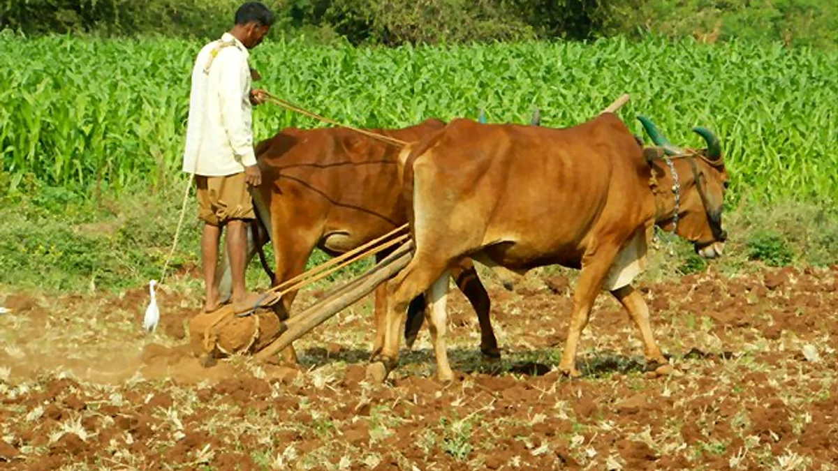 PM किसान 24वीं किस्त 2026: दिवाली से पहले खाते में आएंगे ₹2,000, ऐसे चेक करें eKYC, Land Seeding व DBT स्टेटस