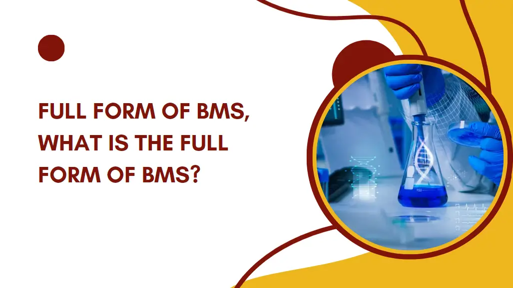 BMS Full Form In Medical
